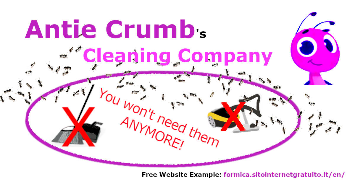 Cleaning Company Antie Crumb Showcase Website